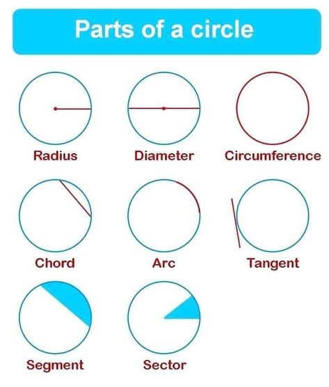 Geometry Hacks, Parts Of Circle, Maths Geometry, Parts Of A Circle, Math Formula Chart, Teaching Math Strategies, Math Quotes, Math Charts, Iit Jee