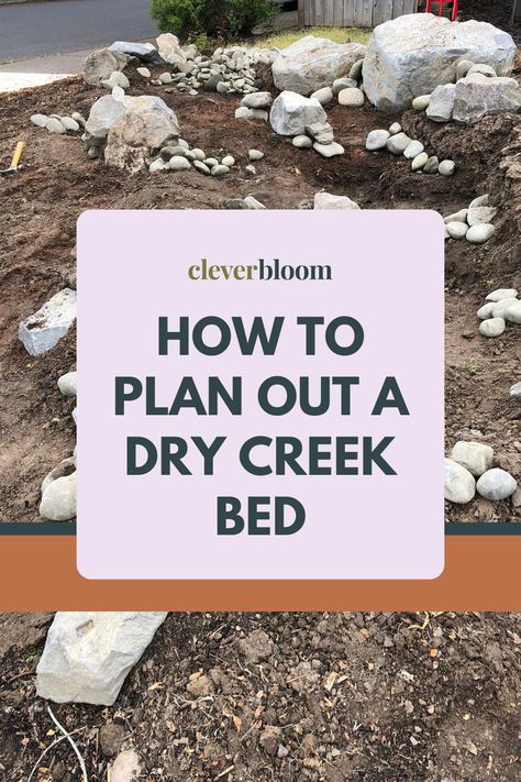 Dry Creek Bed Landscape, Large Leaf Plants, Rock Yard, Stream Bed, Gardening For Dummies, Jungle Style, Rock Bed, Dry Creek Bed, Plant Inspiration