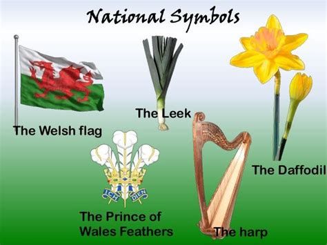 40+ Best Welsh Symbols Ideas | Welsh Symbols, Celtic Tiger Attitude, Welsh Symbols, Springtime Quotes, Welsh Heritage, Welsh Ancestry, Welsh Culture, Learn Welsh, Tiger Quotes, Celtic Images