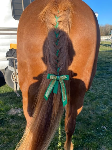 Tail Braids Horse, Horse Tail Hairstyle, Horse Hair Ideas, Horse Mane Styles, Horse Hairstyles, Horse Mane Braids, Horse Hair Braiding, Cross Country Jumps, Horse Braiding