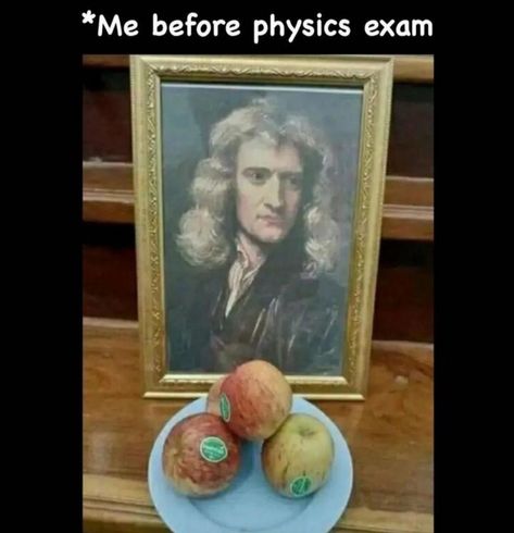 Physics Jokes, Nerd Memes, Nerdy Jokes, Physics Memes, Nerdy Humor, Studying Memes, Science Puns, Nerd Jokes, Nerd Humor