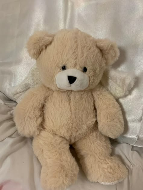 Teddy Bear Plush Aesthetic, Cute Teddy Bears Aesthetic, Cute Teddies Stuffed Animals, Cute Bear Plushies, Stuffed Animal Astethic, Jellycat Teddy Bear, Stuffed Bear Aesthetic, Stuff Animals Plush Aesthetic, Cute Teddy Bear Aesthetic