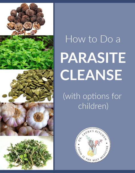 How to Do a Parasite Cleanse (with Options for Children) - Dr. Laura's Kitchen Parasitic Cleanse Natural, Zuma Parasite Cleanse, How To Parasite Cleanse, Parasite Cleanse Protocol, At Home Parasite Cleanse, Best Parasite Cleanse Products, Essential Oils For Parasites In Humans, Human Parasite Cleanse, Parasite And Heavy Metal Cleanse