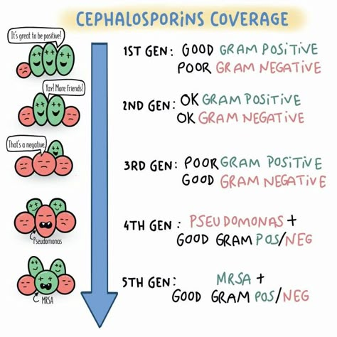 Cephalosporins Pharmacology, Cephalosporins Mnemonics, Antibiotics Mnemonics, Antibiotics Pharmacology Mnemonics, Aesthetic Microsoft Word Notes, Antibiotics Pharmacology, Pharmacology Pharmacy, Pharmacy School Study, Nursing School Pharmacology