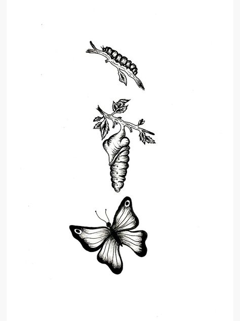 Catapillar Butterfly Tattoo, Serendipity Tattoo, Metamorphosis Tattoo, Caterpillar Tattoo, Feminine Tattoo Designs, Stippling Tattoo, Tattoo Colors, Tattoo Design For Women, Evolution Tattoo