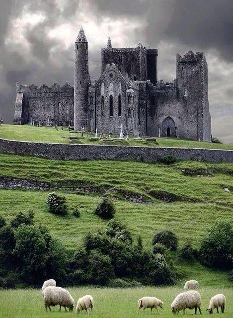 Château en Ireland castle sheep | Fabrice Dozias | Flickr Cashel Ireland, Rock Of Cashel, Ireland Aesthetic, Alnwick Castle, Chateau Medieval, Castles In Ireland, Ireland Landscape, Abandoned Castles, Ireland Vacation