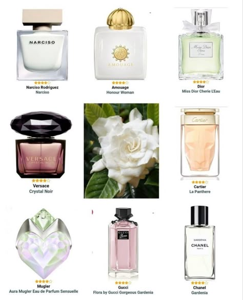 Must Have Perfumes For Women, Seductive Perfumes For Women, Versace Crystal Noir, Gardenia Perfume, Crystal Noir, Seductive Perfume, Oud Perfume, Pheromone Perfume, Floral Perfume