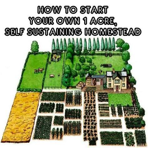 Close Line Ideas, Cottagecore Yard Ideas, Self Sustaining Garden, Small Homestead Layout, Hobby Farms Layout, Farming For Beginners, Farm Landscaping, Homestead Layout, Acre Homestead