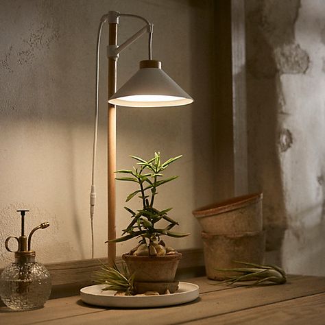 Tabletop Lamp, Planting Tools, Grow Lamps, Table Top Lamps, Led Grow Light, Cool Lamps, Plant Lighting, Grow Light, Led Grow