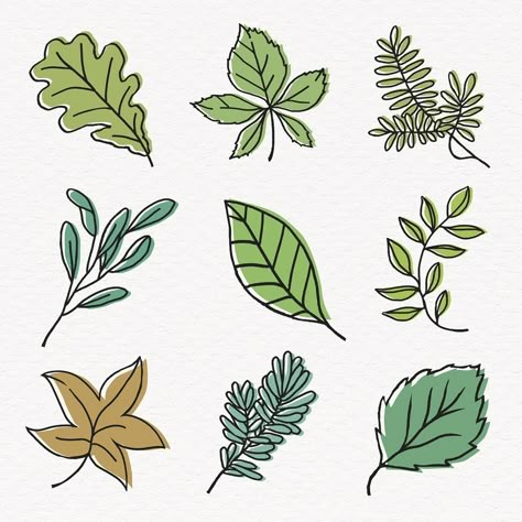 Leaf Drawing Easy, Line Art Collage, Aesthetic Leaf, Leaf Line Art, Leaves Sketch, Leaves Doodle, Plant Doodle, Craft Ideas Paper, Sage Green Aesthetic