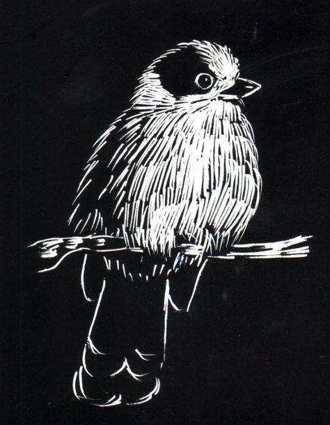 Art Ideas Black And White, Scratchboard Art Lessons, Scratch Art Ideas, Scratchboard Animals, Scratchboard Drawings, Scratch Paper Art, Woodcut Art, Scratchboard Art, Monochromatic Art