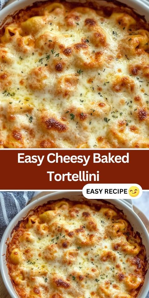 This Cheesy Baked Tortellini Casserole is a comforting, family-friendly dinner that’s perfect for busy weeknights. Made with tender cheese-filled tortellini, a rich meat sauce, and a melty mozzarella and parmesan topping, this easy-to-make casserole is ready in under an hour. Pair it with a simple salad or garlic bread for a complete meal. Ideal for those looking for a quick and hearty baked pasta dish that’s packed with flavor. Tortellini With Pasta Sauce, Bakes Tortellini, Easy Cheesy Tortellini Bake, Cheesy Tortellini Casserole, Baked Tortellini Casserole Alfredo, Cheese Tortellini Bake Recipes, Tortellini Oven Bake, Tortellini With Ricotta Cheese, Cheese Tortellini Pasta Recipes