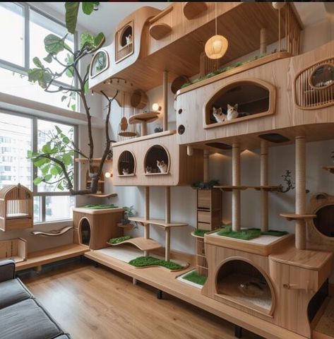 Cats Room Design, Multi Cat Home, Indoor Cats Ideas, Laundry Cat Room Ideas, House With Cats Living Rooms, Aesthetic Catification, Cat Friendly Interior Design, Cat Building Ideas, Cat House Indoor Ideas