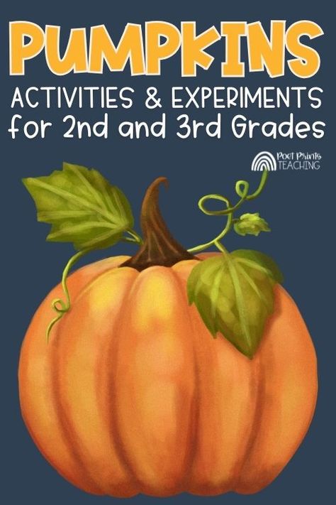 🎃 Looking for fun and educational pumpkin activities for your 2nd and 3rd graders? 🍂 Discover a variety of engaging experiments and hands-on learning ideas that will make your classroom burst with fall excitement. From pumpkin life cycles to science experiments, this guide has it all! Perfect for combining seasonal fun with essential learning. 📚✨ #PumpkinActivities #FallInTheClassroom #2ndGrade #3rdGrade #TeacherLife #STEM #ClassroomFun #KidsActivities #Education Pumpkin Day Activities Second Grade, Pumpkin Activities For Second Grade, Pumpkins In The Classroom, Fall Primary Activities, Learning Activities For 2nd Graders, Pumpkin Stem Ideas, Steam Pumpkin Activities, Halloween Activities For 2nd Grade, Pumpkin Experiments For Kids