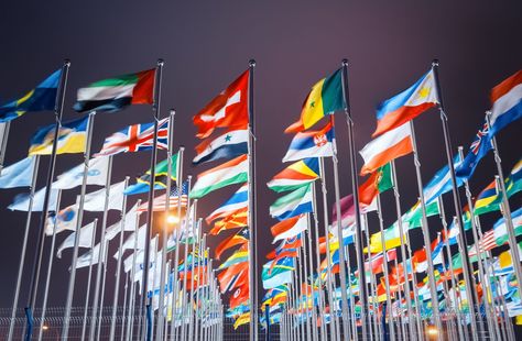 How Well Do You Know the Flags of the World? World Quiz, Flagpole Lighting, Different Flags, Online Safety, Flags Of The World, United Nations, National Flag, Countries Of The World, Tri Color