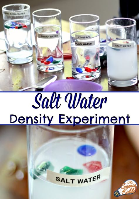 Ocean Art Preschool Activities, Science Exploration Preschool, Ocean Activities Elementary, Salt Water Experiment, Ocean Science Experiments, Density Experiment, Vetenskapliga Experiment, Kitchen Science Experiments, Science Experience