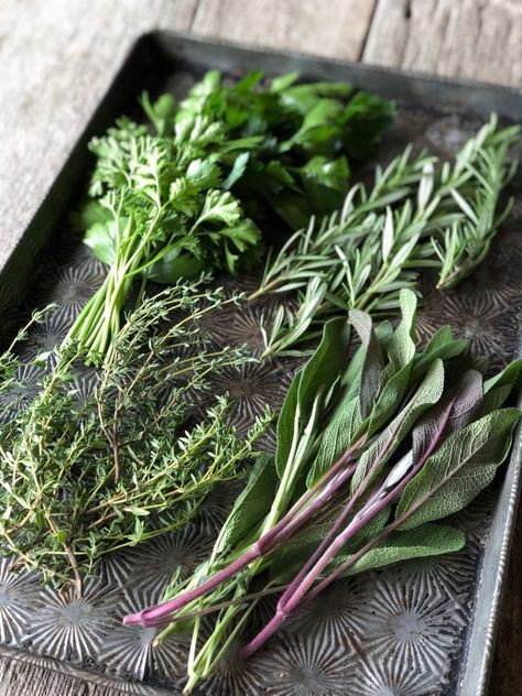 Parsley Sage Rosemary And Thyme, Freezing Pesto, Beef Roast Crock Pot, Thyme Herb, Freezing Herbs, Rosemary And Thyme, Fresh Eats, Scarborough Fair, Types Of Herbs