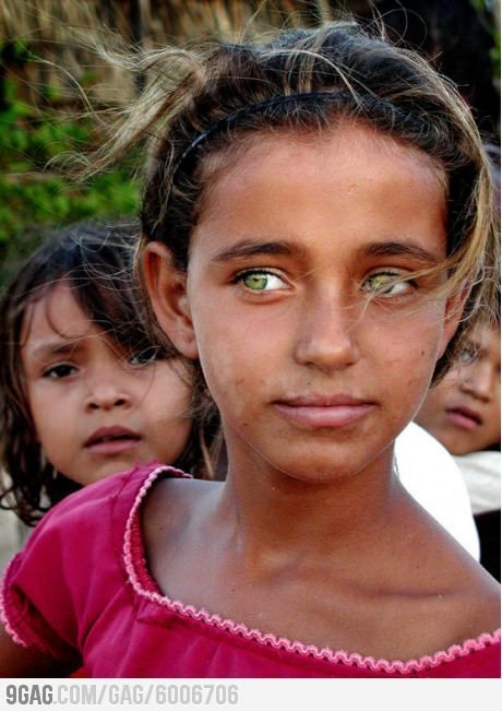 Beautiful, bright, and almost electric green eyes on this young girl. Very rare, and I haven't ever seen this before. Rare Eye Colors, Jade Eyes, Rare Eyes, Girl With Green Eyes, Kind Photo, Most Beautiful Eyes, Stunning Eyes, Alexandra Daddario, Gorgeous Eyes