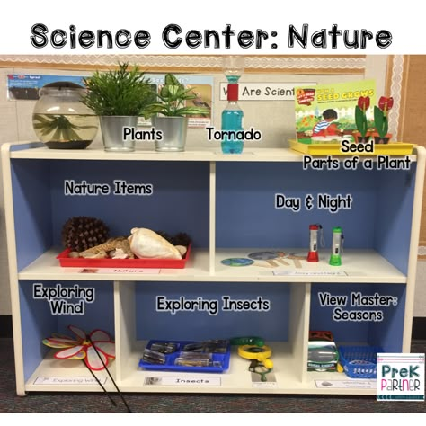 Science Center: Nature Science Discovery Center Kindergarten, Science Discovery Center, Science Center For Kindergarten, Science Area For Preschool, Ideas For Science Center Preschool, Discovery Center Kindergarten, Ecers 3 Science Center, Reggio Inspired Science Center, Different Centers For Preschool