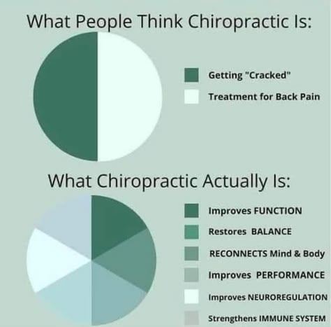 Musculoskeletal Disorders, Chiropractic Benefits, Chiropractic Office Design, Chiropractic Quotes, Chiropractic Marketing, Chiro Office, Doctor Of Chiropractic, Strengthen Immune System, Healing Abilities