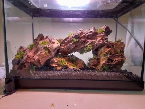 A 30 liter aquarium with dark soil and 4 'Dragon' stones stacked on each other. Moss (taxiphyllum barbieri) is attached to the grooves of the stones with a special glue that isn't toxic to the fishes. Red Lava Rock Aquascape, Ohko Stone Aquascape, River Rock Aquarium, Dragon Rock Aquascape, Dragon Stone Aquarium, Dragonstone Aquascape, Dragon Stone Aquascape, Aquascape Driftwood, Rice Patty