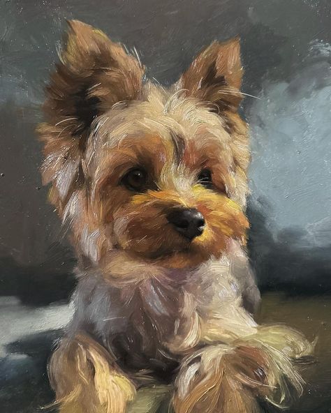 Inspo • Instagram Pet Oil Paintings, Yorkie Portrait, Yorkshire Painting, Jennifer Gennari, Yorkie Painting, Dog Portraits Illustration, Painting Dogs, Pet Portrait Paintings, Dog Portraits Painting