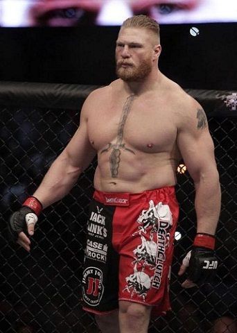 Brock Lesnar Ufc, Wwe Brock Lesnar, Brock Lesnar Wwe, Male Wrestlers, Ufc Boxing, Man Beast, Lego Wall, Nate Diaz, Professional Wrestlers