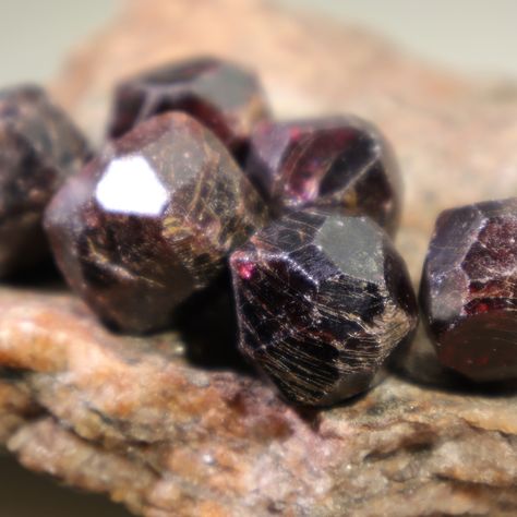 Raw Almandine Garnet Crystals on a chunk of schist/phyllite we collected in Canada at Quesnel Lake.  Garnet acts on the Root Chakra to manifest creative ideas into the physical reality.  ⁠ ⁠ #garnet #rawgarnet #almandinegarnet #crystals #minerals #specimens #gemstones #rawgemstones #birthstones #januarybirthstone #red #burgundy #maroon  https://www.etsy.com/shop/DoodlepunkArt?search_query=garnet Raw Garnet, Soldered Pendants, Rough Gems, Almandine Garnet, Garnet Crystal, Quartz Geode, Crystal Healing Stones, Phantom Quartz, Crystal Dangle Earrings