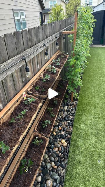 DIY.COOKING.MOMLIFE.DECOR.FASHION on Instagram: "I truly love gardening. Adding these strawberries is one of my favorite additions ❤️ tip: get ever-bearing strawberries 🍓 they will produce more/longer @walmart    #strawberry #strawberries #strawberries🍓  #planting #backyard #fence #basket  #summer #fruit #red #besthusbandever #diy #diydecor #diyideas #diyhome  #pnw #sunshine #washington #oregon #gardening #garden #fruit #miraclegro" Strawberry Planter Ideas Diy, Strawberry Fence, Hanging Strawberry Planter Ideas, Berry Garden Layout, Strawberry Patch Garden, Strawberry Patch Ideas, Hanging Strawberry Plants, Strawberries Planting, Strawberries In Raised Beds