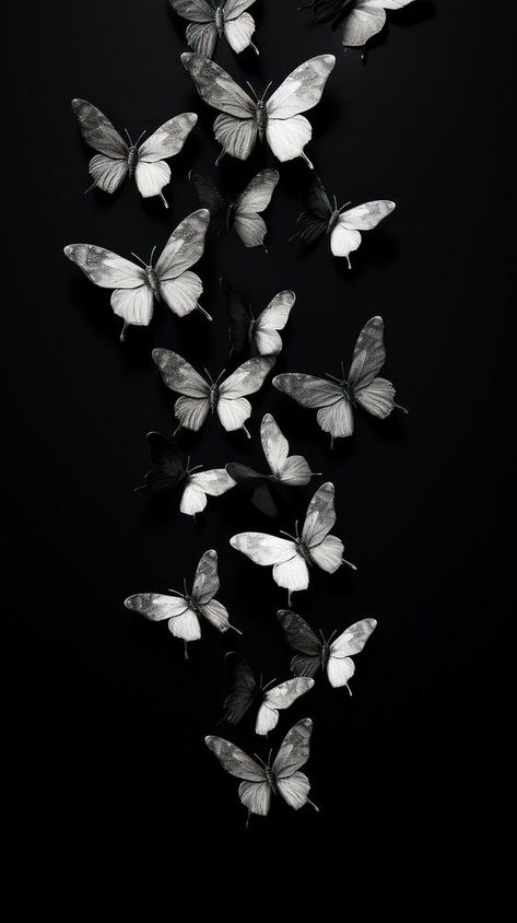 Photography of flying butterflies black monochrome white. | premium image by rawpixel.com / Aew Black Vibe Aesthetic, Black Butterfly Wallpaper, Iphone Wallpaper Butterfly, Dark Academia Background, Black Butterflies Aesthetic, Kindle Lockscreen, Phone Wallpaper Black, Butterfly Phone Wallpaper, Vibes Background