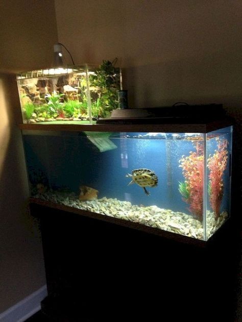 53 Aquarium Design Ideas That Make your Home Look Beauty - Matchness.com Turtle Setup, Tartaruga Habitat, Aquatic Turtle Habitat, Aquatic Turtle Tank, Turtle Tank Setup, Turtle Enclosure, Turtle Terrarium, Turtle Aquarium, Turtle Care