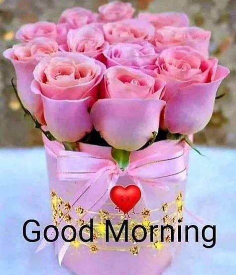 Good Morning Miss You, Wednesday Love, Good Morning Ji, Good Morning Friday Images, Good Morning Wishes Friends, Good Morning Gift, Talk Is Cheap, Good Morning Dear, Lovely Good Morning Images