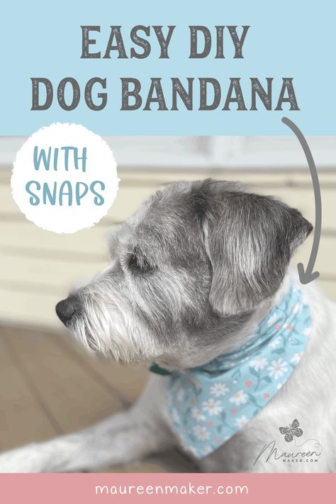 Dog Bandana Tutorial, Bandana Tutorial, Dog Bandana Diy, Bandanas Diy, Dog Bandana Pattern, Dog Sewing Patterns, Bandana Pattern, Dog Bandanna, Luxury Dog Collars