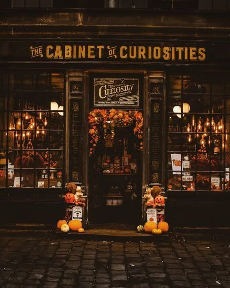 The Cabinet Of Curiosities, Victorian Shop Aesthetic, Cabinet Of Curiosities Art, Oddity Shop Aesthetic, Oddities Shop Aesthetic, Dark Academia Shop, Witchcraft Shop Aesthetic, Cabinets Of Curiosities, Antique Shop Aesthetic Dark