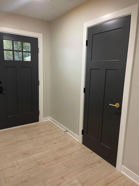 Dark Interior Doors And Trim, 3 Panel Interior Doors, Dark Interior Doors, Hippie Farmhouse, Door And Trim Paint, Dark Doors, Interior Door Trim, Black Interior Doors, White Inspiration