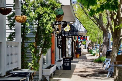 Explore Saugatuck Michigan: A Hidden Gem Near the Lake Michigan Shore Northport Michigan, Michigan Summer Vacation, Indoor Things To Do, Michigan Travel Destinations, Saugatuck Michigan, Michigan Summer, Beach Read, Waterfront Restaurant, Weekend Escape