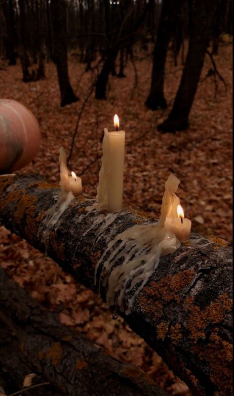 Halloween garden - outdoor decorations - candles Halloween Candles Aesthetic, Samhain Aesthetic, Fall Mood Board, Autumn Magic, Dark Autumn, Fallen Leaves, Halloween Candles, Season Of The Witch, Witch Aesthetic