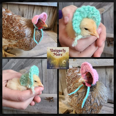 Crochet Pattern / Sunday Bonnet for Chickens / Bonnet for | Etsy Chicken Pin Ideas Diy, Chicken In Clothes, Crochet For Chickens, Crochet Chicken Bonnet, Crocheted Chicken Hat, Chicken Bonnet Crochet Pattern, Crochet Chicken Accessories, Chicken Hats For Chickens, Crochet Hats For Chickens Free Patterns