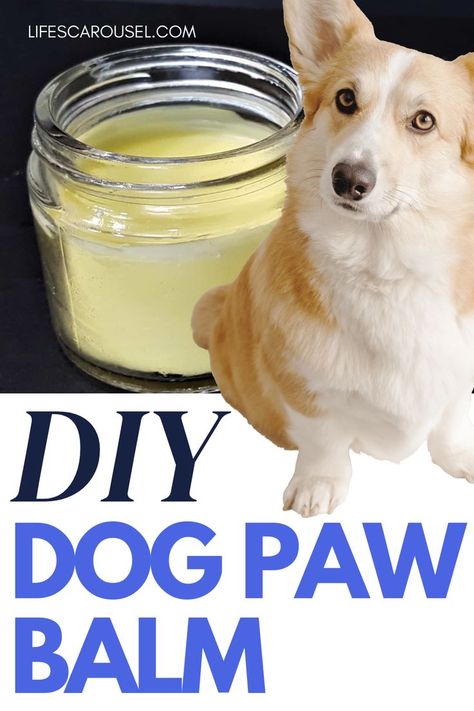 Have you ever given the daily stresses that your dog's paws endure a moment's thought? They wear only their bare feet as they go about the household, the backyard, the surroundings, the outdoors, and even the malls! Dog paw balm may be used to safeguard your dog's paws, relieve soreness, and maintain its overall health. Check out the blog for more details on how to make a DIY Dog Paw Balm – Heal & Protect Your Dog’s Sore Paws. #petcare #dogcare #dogpaws #petbalm #DIYcraft #DIYbalm Diy Paw Balm For Dogs, Dog Paw Lotion, Diy Dog Paw Balm, Dog Paw Salve, Diy Pet Crafts, Dog Paw Wax, Homemade Cat Treats, Dog Paw Care, Pet Food Recipes