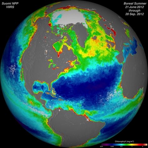 Panel Warns of ‘Catastrophic’ Gap in Weather Satellite Data - Unless it acts quickly, the U.S. faces the likelihood of a "catastrophic" reduction in weather and climate data starting in 2016, resulting in less reliable weather and climate forecasts, a federally-commissioned review panel said on Thursday. Weather Satellite, Science Articles, Weather And Climate, Meteorology, Earth Science, Science And Nature, Geography, Work On, To Start