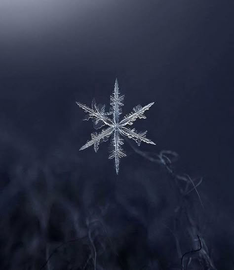 Snowflake Winter Snow Wallpaper, Snowflake Photography, Snowflake Wallpaper, Snowflake Photos, Wallpaper Winter, Winter Szenen, Winter Nature, Nat Geo, Winter Magic