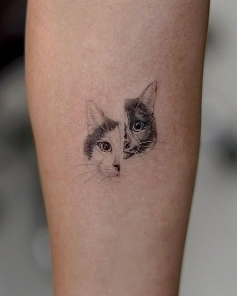 Cat Inspo Tattoo, Small Two Cat Tattoo, Cat Lion Tattoo, Cat Idea Tattoo, Small Cat Portrait Tattoo, Tattoos Of Pets, Cute Pet Tattoo Ideas, Simple Cat Portrait Tattoo, Pet Face Tattoo