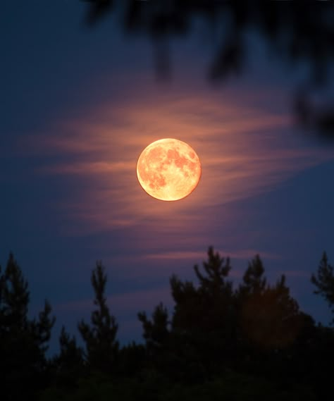 Tonight’s Full Blood Moon In Aries Brings Passion, Impatience & Independence #refinery29 https://www.refinery29.com/en-us/2021/10/10719540/when-is-full-moon-in-aries-october-2021-meaning-blood-moon Next Full Moon, Moon Pics, Full Moon Ritual, Virgo Moon, The Moon Is Beautiful, Look At The Moon, Moon Aesthetic, Moon Pictures, Moon Photography