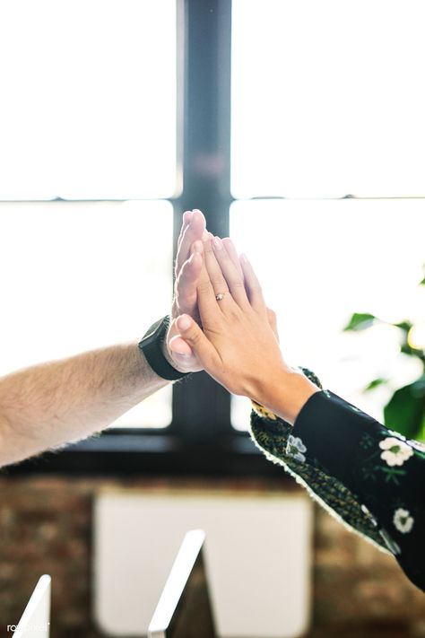 Happy diverse colleagues in a startup company doing a high five | premium image by rawpixel.com / Felix High Five Aesthetic, Five Aesthetic, Office Lifestyle, Photos For Business, Giving Hands, Diverse People, Trending Images, I'm Grateful, Good Image