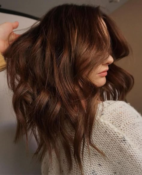 Summer 2024 Hair Color Trends Brunette, Cinnamon Brown Hair, Brown Auburn Hair, Cinnamon Hair Colors, Brown Hair Color Shades, Natural Brown Hair, Warm Brown Hair, Cinnamon Hair, Golden Brown Hair