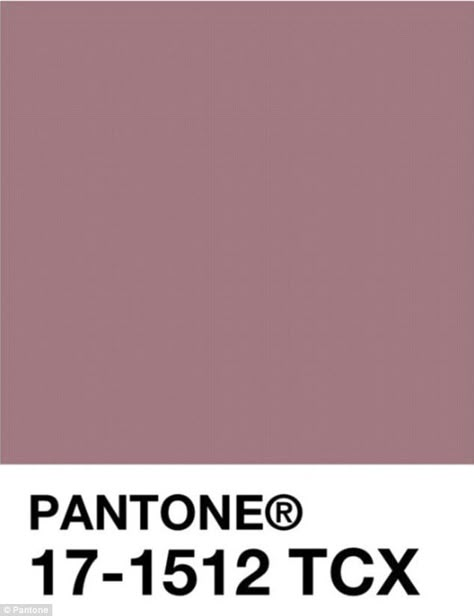 Dusty Mauve Paint Colors, Mauve Tones Colour Palettes, Dusty Pink Pantone, Mauve Pantone, Muted Pinks Colour Palettes, Dark Dusty Pink, Pantone Shades, Dusty Pink Color, Dust Pink