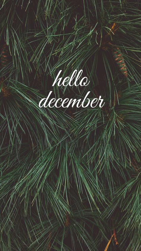 December Iphone Wallpaper, Hello December Wallpaper, December Wallpaper Iphone, Hello December Images, Art Inspiration Creative, December Images, Creative Tattoo Ideas, December Quotes, December Wallpaper