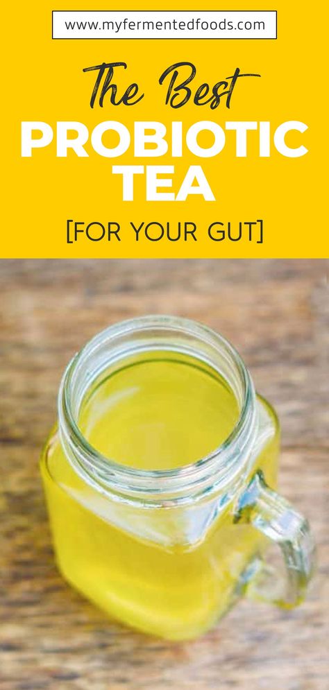 Probiotic tea refers to a beverage that possesses probiotic properties. Kombucha tea is a popular probiotic tea that can help you derive multiple health benefits. It can provide relief from stomach upsets, constipation, and indigestion in a safe and effective way. Let’s see the best probiotic tea for your gut. . . . #MyFermentedFoods #Tea #KombuchaTea #FermentedDrinks #Probiotic #Fermentation #Fermenting #Kombucha #ProbioticDrink #HomeBrew #Brewing Homemade Probiotic Drink, Probiotic Drinks Products, Probiotic Drink Recipes, Diy Probiotic Drink, Probiotic Smoothie Recipes, Homemade Electrolytes, Probiotic Food, Crohns Diet, Baby Cough Remedies