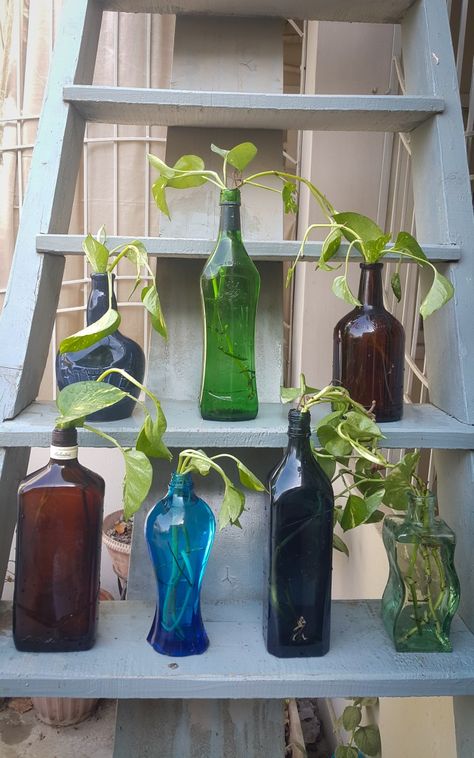 Plant In Wine Bottle, Plants In Wine Bottles, Empty Wine Bottle Ideas, Bathrooms With Plants, Plants In Glass Bottles, Witches Hut, Roses And Candles, Wine Bottle Craft, Wine Bottle Ideas