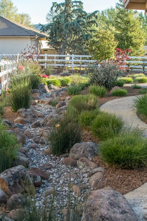 Dry Creek Bed Landscape Front Yards, Dry River Bed Landscape Yard Ideas, Stream Landscaping, Riverbed Landscaping, Dry Riverbed Landscaping, Dry River Bed, Dry Stream, Xeriscape Front Yard, Xeriscape Landscaping